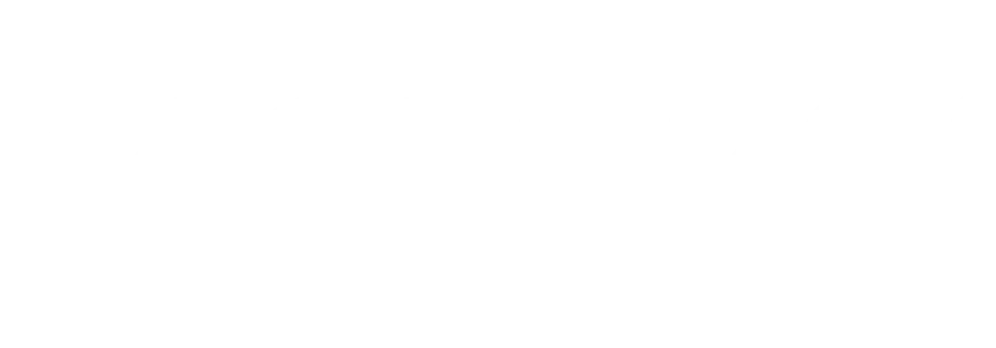 Asset